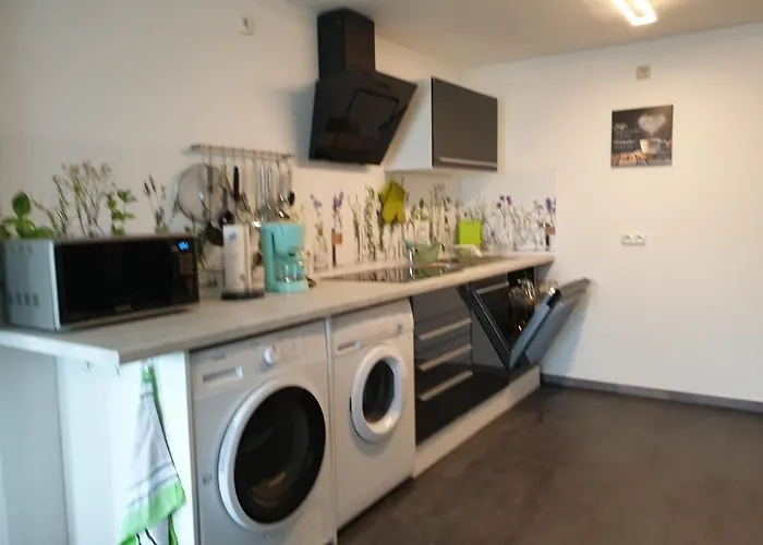 Skibbi's An Der Sonnenloipe In Friedrichsbrunn * 塔勒